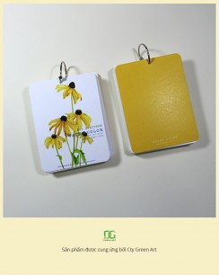 Giấy vẽ màu nước Postcard 40 tờ khổ (9 x 12) cm - Màu vàng
