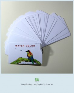 Giấy vẽ màu nước - Postcard 40 tờ giấy dày khổ (8 x 13) cm, vẽ đẹp cả chì và các loại bút màu